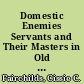 Domestic Enemies Servants and Their Masters in Old Regime France /