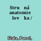 Stručná anatomie člověka /