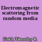 Electromagnetic scattering from random media