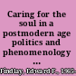 Caring for the soul in a postmodern age politics and phenomenology in the thought of Jan Patočka /