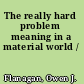 The really hard problem meaning in a material world /