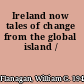 Ireland now tales of change from the global island /