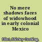 No mere shadows faces of widowhood in early colonial Mexico /