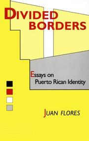 Divided borders : essays on Puerto Rican identity /