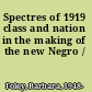 Spectres of 1919 class and nation in the making of the new Negro /