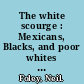 The white scourge : Mexicans, Blacks, and poor whites in Texas cotton culture /