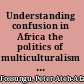 Understanding confusion in Africa the politics of multiculturalism and nation-building in Cameroon /