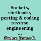 Sockets, shellcode, porting & coding reverse engineering exploits and tool coding for security professionals /