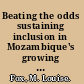 Beating the odds sustaining inclusion in Mozambique's growing economy /