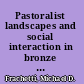 Pastoralist landscapes and social interaction in bronze age Eurasia