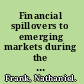 Financial spillovers to emerging markets during the global financial crisis