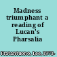 Madness triumphant a reading of Lucan's Pharsalia /