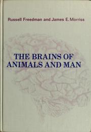 The brains of animals and man /