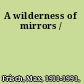 A wilderness of mirrors /
