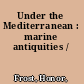 Under the Mediterranean : marine antiquities /