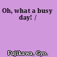 Oh, what a busy day! /