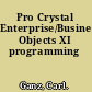 Pro Crystal Enterprise/Business Objects XI programming