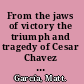 From the jaws of victory the triumph and tragedy of Cesar Chavez and the farm worker movement /