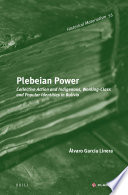 Plebeian power : collective action and indigenous, working-class and popular identities in Bolivia /