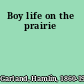 Boy life on the prairie