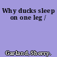 Why ducks sleep on one leg /