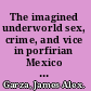 The imagined underworld sex, crime, and vice in porfirian Mexico City /