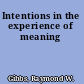 Intentions in the experience of meaning