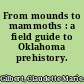 From mounds to mammoths : a field guide to Oklahoma prehistory.