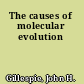 The causes of molecular evolution
