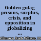Golden gulag prisons, surplus, crisis, and opposition in globalizing California /