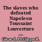 The slaves who defeated Napoleon Toussaint Louverture and the Haitian War of Independence, 1801-1804 /