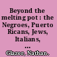 Beyond the melting pot : the Negroes, Puerto Ricans, Jews, Italians, and Irish of New York City /