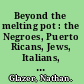 Beyond the melting pot : the Negroes, Puerto Ricans, Jews, Italians, and Irish of New York City /