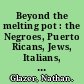 Beyond the melting pot : the Negroes, Puerto Ricans, Jews, Italians, and Irish of New York City /