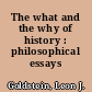 The what and the why of history : philosophical essays /