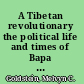 A Tibetan revolutionary the political life and times of Bapa Ph?untso Wangye /