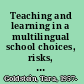 Teaching and learning in a multilingual school choices, risks, and dilemmas /