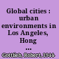 Global cities : urban environments in Los Angeles, Hong Kong, and China /