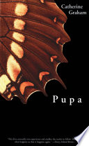 Pupa