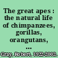 The great apes : the natural life of chimpanzees, gorillas, orangutans, and gibbons /