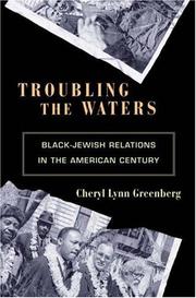 Troubling the waters : Black-Jewish relations in the American century /