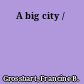 A big city /