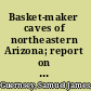 Basket-maker caves of northeastern Arizona; report on the explorations, 1916-17,