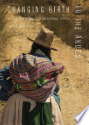 Changing birth in the Andes : culture, policy and safe motherhood in Peru /