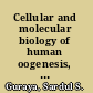 Cellular and molecular biology of human oogenesis, ovulation and early embryogenesis fundamentals, biomedical and clinical implications in relation to infant disorder /