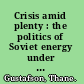 Crisis amid plenty : the politics of Soviet energy under Brezhnev and Gorbachev /