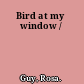 Bird at my window /
