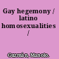 Gay hegemony / latino homosexualities /