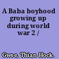 A Baba boyhood growing up during world war 2 /