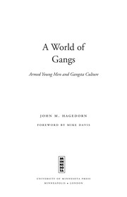 A world of gangs : armed young men and gangsta culture /